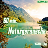 60 Minuten Naturgeräusche artwork