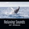 Watersoundscapes - Soothing Ocean Waves Universe lyrics