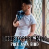 Free As a Bird - Single