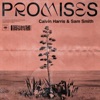 Promises - Single, 2018
