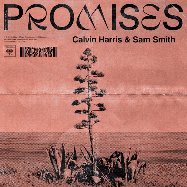 Calvin Harris feat. Sam Smith Promises