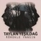 Gitti - Taylan Yeşildağ lyrics