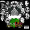 Voice of Zambia album lyrics, reviews, download
