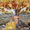 Sambas de Enredo Carnaval 2019: Série A, 2018