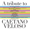 A Tribute To Caetano Velosó