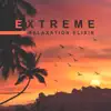 Extreme Relaxation Elixir: Music for Stressful Day, Tired Mind, Body and Quick Anxiety Help album lyrics, reviews, download