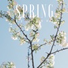 Spring - Single