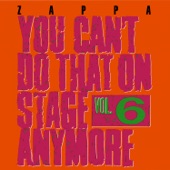 You Can't Do That On Stage Anymore, Vol. 6 (Live) artwork