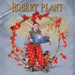 Robert Plant - You Can't Buy My Love