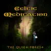 Celtic Meditation: The Quiet Forest & Sleep, Yoga, Spa, Relaxing Harp Music album lyrics, reviews, download