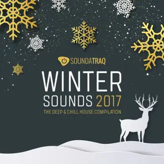 Winter Sounds 2017 by Various Artists album reviews, ratings, credits