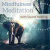 Mindfulness Meditation with Sound Healing - 80 Songs for Healing Anxiety & Inner Peace album lyrics, reviews, download