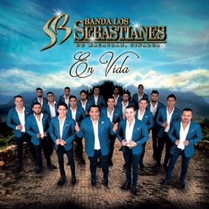 Banda Los Sebastianes - Mi Meta Contigo Lyrics - Zortam Music