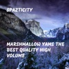Spazticity - I Ripped Off a Subzero Penis Before Numero Ocho