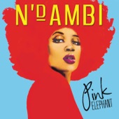 N'Dambi - What It Takes (Album Version)