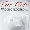 Fur Elise (Wedding Processional) - Single album lyrics, reviews, download