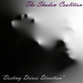 The Shadow Coalition - Recycle