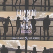Cuando Me Mira (Remix) artwork