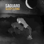 Sleep Flying artwork