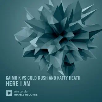 Here I Am (Dub) by Kaimo K, Cold Rush & Katty Heath song reviws