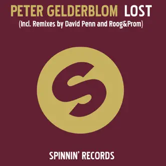 Lost by Peter Gelderblom album reviews, ratings, credits