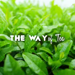 Tea Meditation Song Lyrics