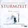Charlotte Link - Wilde Lupinen: Sturmzeit-Trilogie 2
