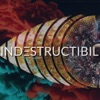 Indestructibil - Single