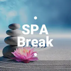 Spa Break - The 25 Best Luxury Spa Resorts Relaxing Songs with Nature Sounds, Piano and Asian Music by Serenity Spa Music Relaxation album reviews, ratings, credits