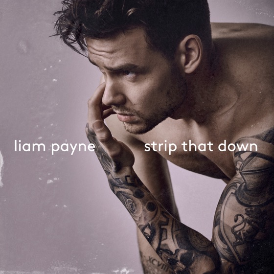 Cover artwork for Strip That Down