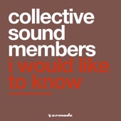 Collective Sound Members - I Would Like to Know