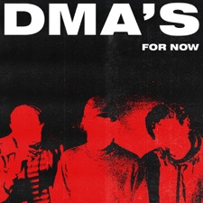 Do I Need You Now artwork