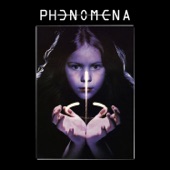 Phenomena artwork