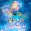 Cosmos artwork