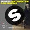 Can't Forget You (feat. The Nicholas) - San Holo lyrics