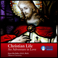 Sr. Ilia Delio OSF PhD - Christian Life: An Adventure in Love artwork