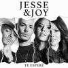 Te Esperé - Single