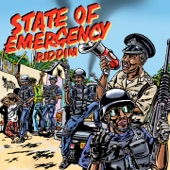 State of Emergency Dub artwork