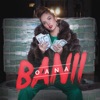 Banii - Single