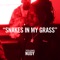 Snakes In My Grass - Young Nudy letra