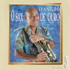 Ivanildo - O Sax de Ouro, Vol. 5