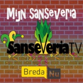 Mijn Sanseveria artwork