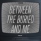 Shevanel Take 2 - Between the Buried and Me lyrics