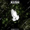 Kush (feat. Krime Fyter) - PURGE lyrics