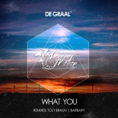 What You (Barbary Remix) artwork