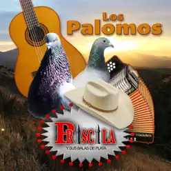Los Palomos - Priscila y Sus Balas de Plata