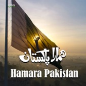 Hamara Pakistan (Urdu Version) artwork