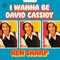 I Wanna Be David Cassidy - Ken Sharp lyrics