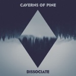 Caverns of Pine - All Instinct