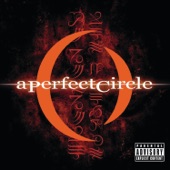 Rose - A Perfect Circle